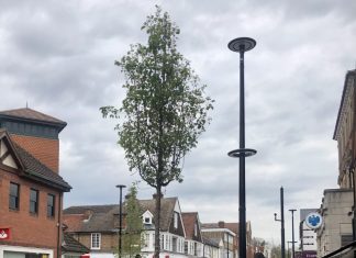 The Queen’s Green Canopy – Jubilee Trees planted in Camberley High Street