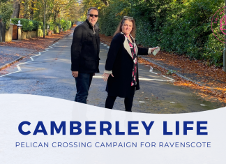Pelican Crossing Campaign for Ravenscote Lights On